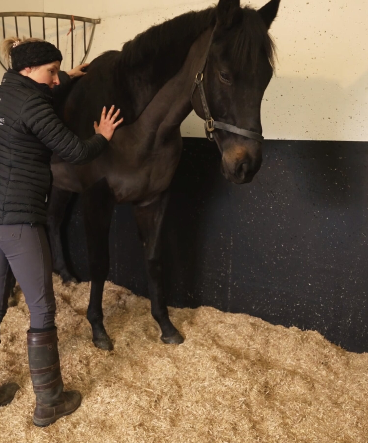 Grace O'Rourke, equine physiotherapist, assessing a dark bay horse in a stable